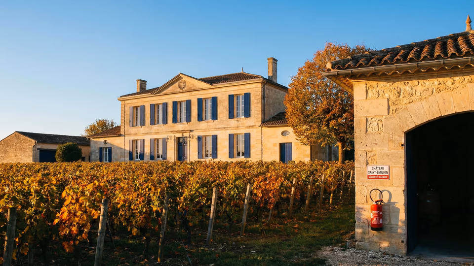 Quels Extincteurs pour un Château Viticole à Saint-Émilion ? Guide Complet 2026